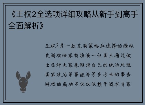 《王权2全选项详细攻略从新手到高手全面解析》